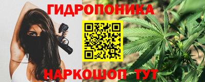 ГАЛЛЮЦИНОГЕННЫЕ ГРИБЫ Кинель