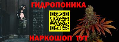ГАЛЛЮЦИНОГЕННЫЕ ГРИБЫ Кинель
